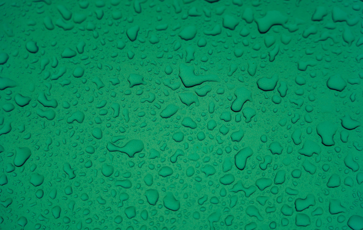 MACAM-MACAM WARNA HIJAU BIAR KAMU NGGAK SALAH BELI BAJU ONLINE